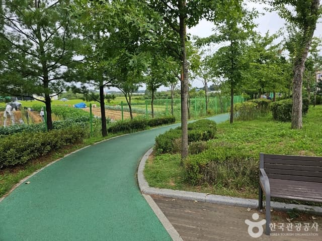 Image 9