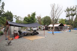 나린오토캠핑장