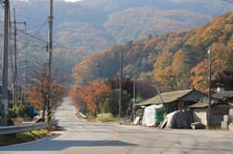 장흥리 산촌생태마을