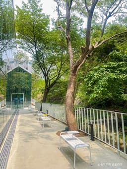 송트리타임콜라주