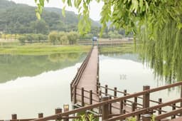 한반도섬 자연습지