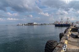 동명항오징어난전