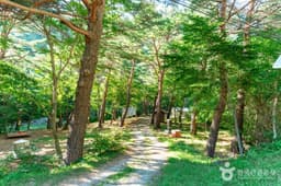 금강소나무생태경영림