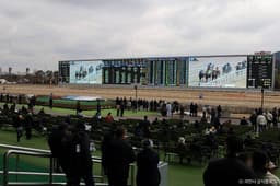 렛츠런파크 서울