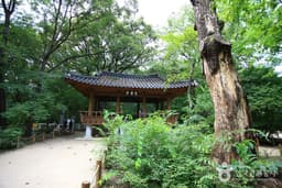 지리산의 깊은 산자락 속에 세상 시름을 묻다