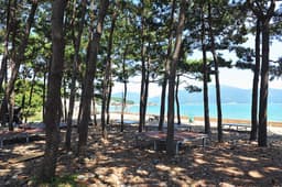 월포해수욕장야영장