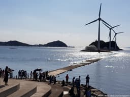 [대부해솔길] 6코스