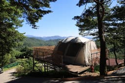 아리아리 숲속야영장