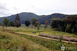 석장리 계절별 꽃단지