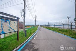 [DMZ 평화의 길] 한강하구-애기봉 코스