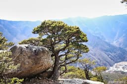 가지산도립공원(밀양)