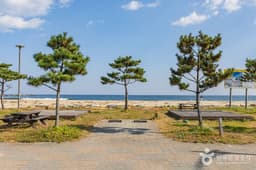 [강원평화누리길 19코스] 고성 통일로 가는길