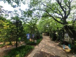 범바위캠핑정원