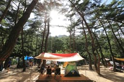 월악산국립공원 덕주야영장