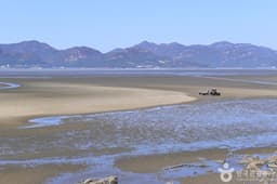 만돌갯벌체험학습장