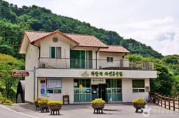 박달재자연휴양림