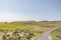 신두사구 쉼터공원 (신두사구 생태공원)