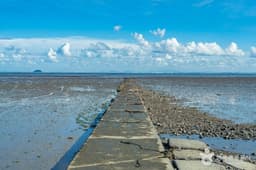 고래뿌리선착장(고랫부리선착장)