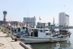 잊힌 묵호항의 이야기를 듣다.