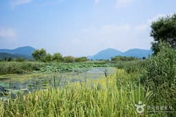 남양주의 유네스코 세계유산지 산책