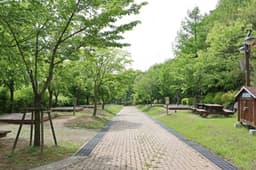 팔공산국립공원 도학야영장