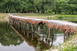 영월 섶다리 마을