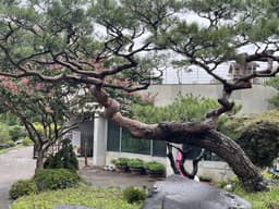 그림같은 수목원(그림이 있는 정원)