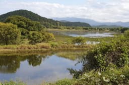 사계절 변신하는 생태 천국