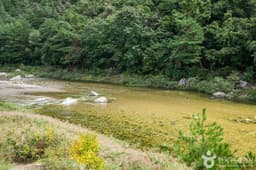 수하계곡(영양)