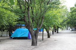 돌배야영장(제1야영장)