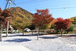 러브팩토리펜션캠핑장