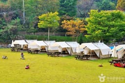 보광산관광농원