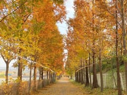 피나클랜드 수목원