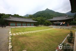 날 좀 보소 날 좀 보소! 버스 좀 타보소!