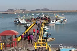 충남의 자연에 풍덩 빠져 즐기다