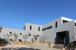 카루소 갤러리카페