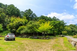 계곡 좋은 펜션 야영장