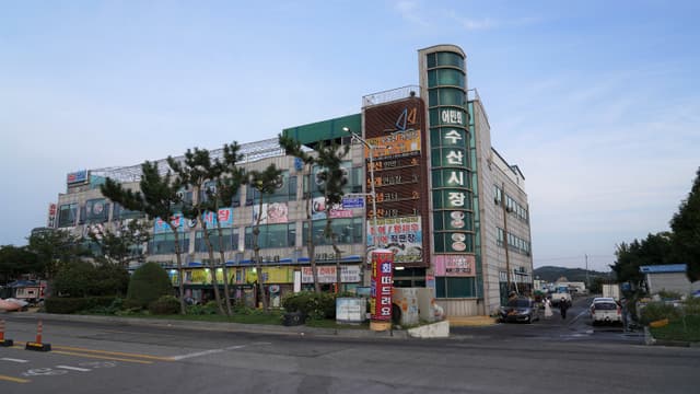 Image 0