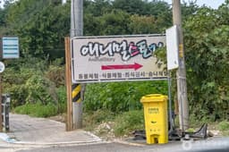 애니멀스토리