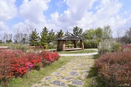 금강습지생태공원