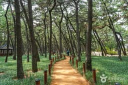 송도솔밭도시숲