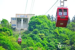 울릉도에서 독도에 서다