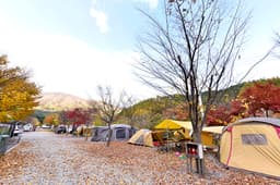늘푸른쉼터오토캠핑장