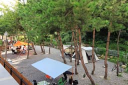 청계산골든밸리캠핑장