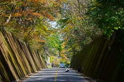 아름다운 풍경을 자랑하는 제천 & 단양 여행 코스