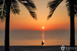 오류고아라해변