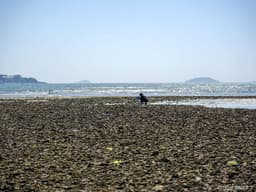 병술만어촌체험마을