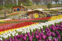 대구 세천늪테마정원