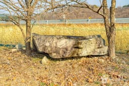 산청특리지석묘군