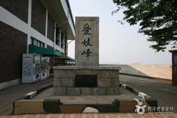 통일을 꿈꾸는 김포 문화역사 탐방